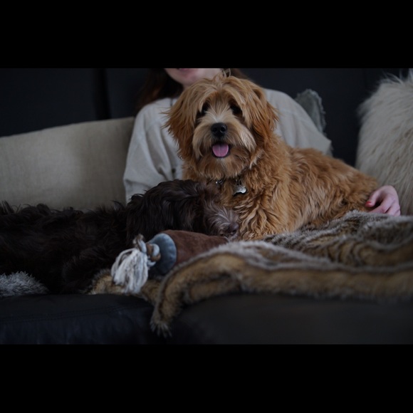 Meet your Posher, Ashley - Picture 1 of 1